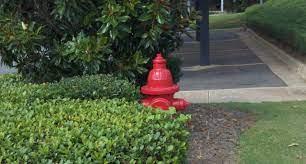 Keep shrubs, lawn decorations, and other obstructions at least 3 feet away from a hydrant.